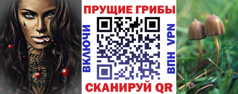 Галлюциногенные грибы Cubensis  Верея 